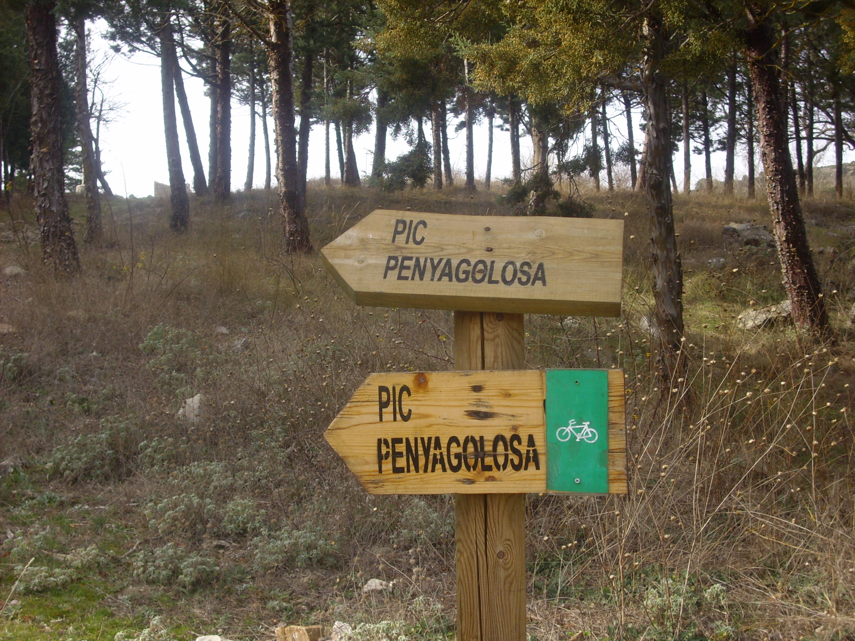 peñagolosa12-12-2010 (3)